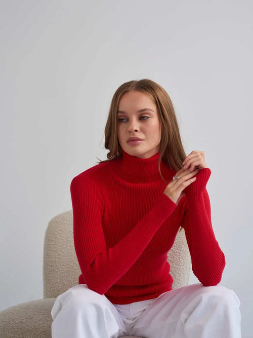 Aurora Ribbed Turtleneck Sweater