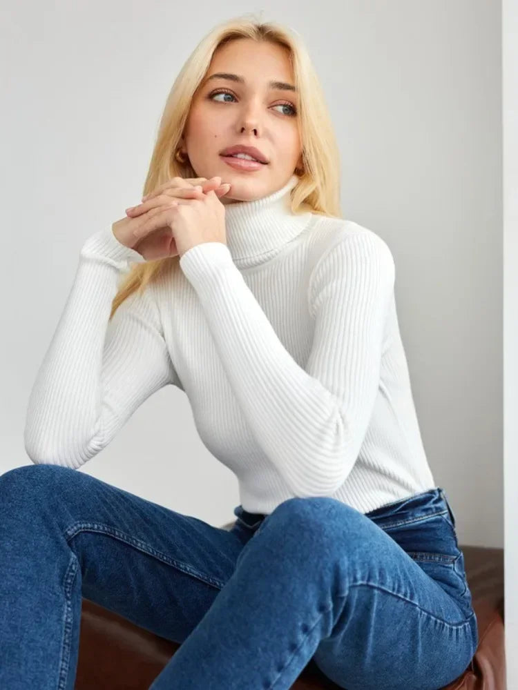 Aurora Ribbed Turtleneck Sweater